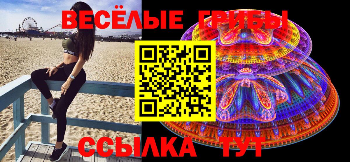 Галлюциногенные грибы Cubensis  Вход с VPN  Соль-Илецк 