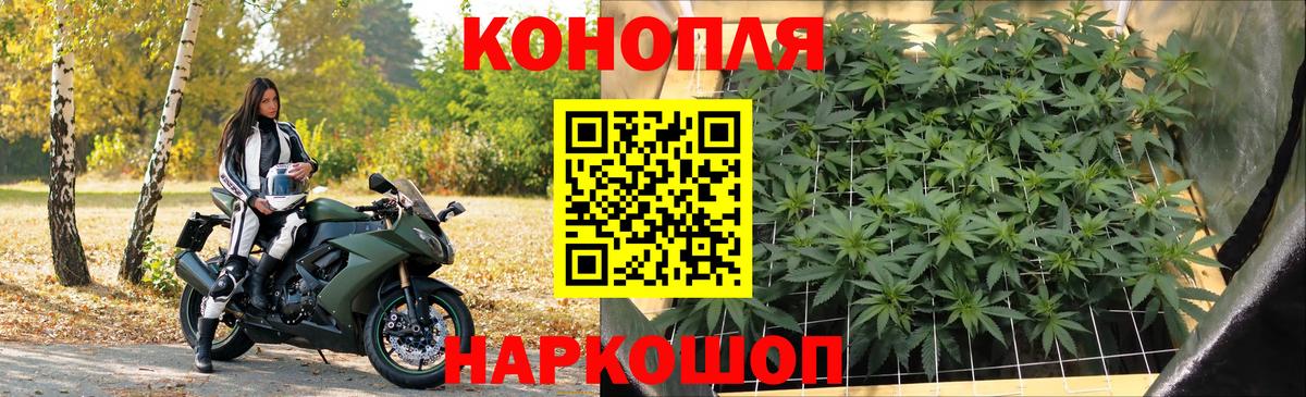 Канабис конопля  Конопля LSD WEED  Соль-Илецк  Вход с VPN  Каннабис конопля 